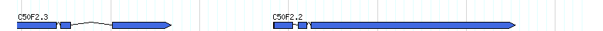 genes detail