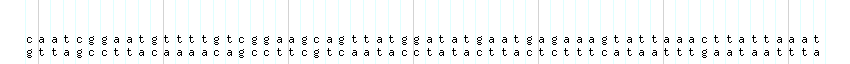 DNA/GC_Content detail