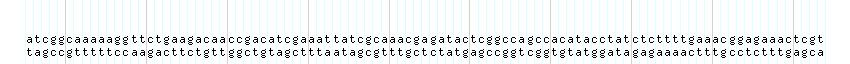 DNA/GC_Content detail