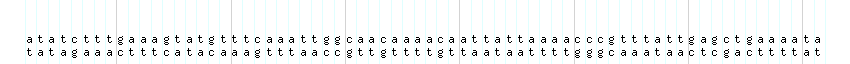 DNA/GC_Content detail