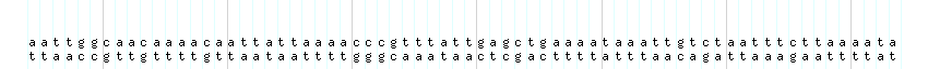 DNA/GC_Content detail