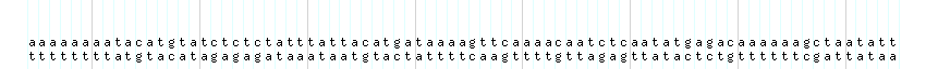 DNA/GC_Content detail