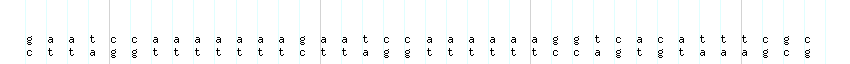 DNA/GC_Content detail