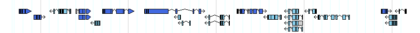 genes detail