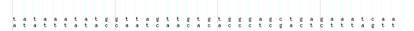 DNA/GC_Content detail