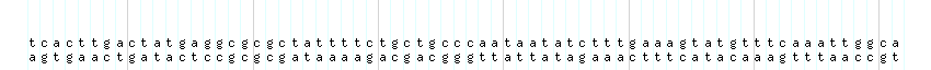 DNA/GC_Content detail