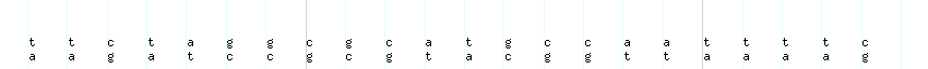 DNA/GC_Content detail