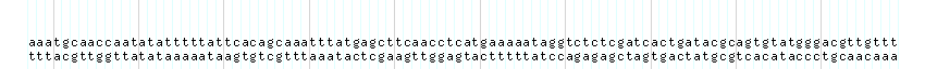 DNA/GC_Content detail