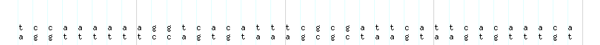 DNA/GC_Content detail