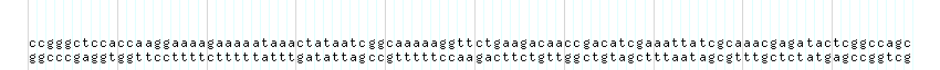 DNA/GC_Content detail