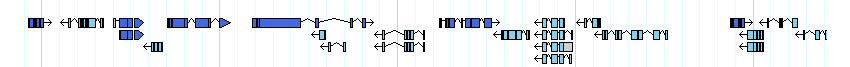 genes detail