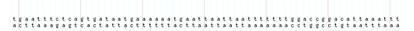 DNA/GC_Content detail