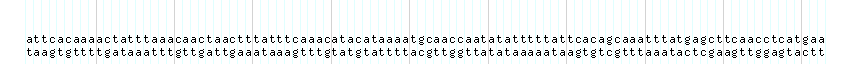 DNA/GC_Content detail