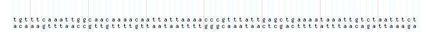 DNA/GC_Content detail