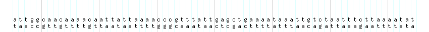 DNA/GC_Content detail