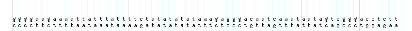 DNA/GC_Content detail