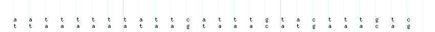 DNA/GC_Content detail