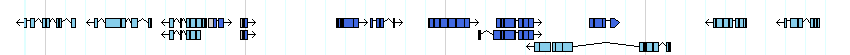 genes detail
