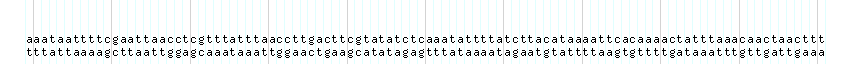 DNA/GC_Content detail