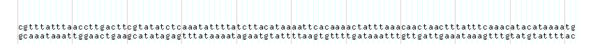 DNA/GC_Content detail