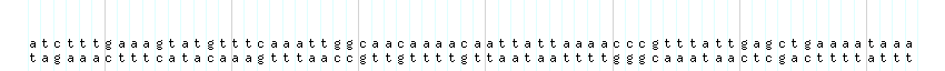 DNA/GC_Content detail