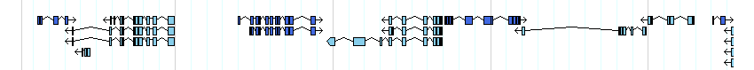 genes detail