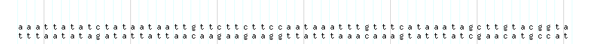 DNA/GC_Content detail