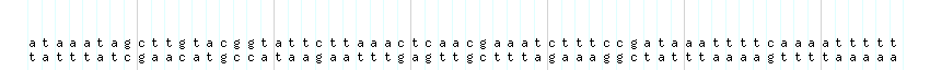 DNA/GC_Content detail