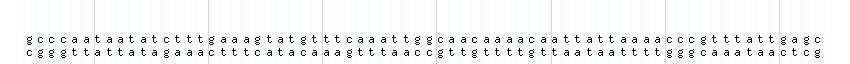 DNA/GC_Content detail