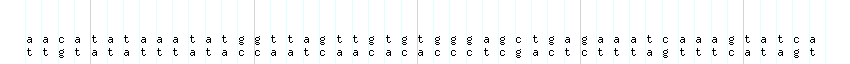 DNA/GC_Content detail