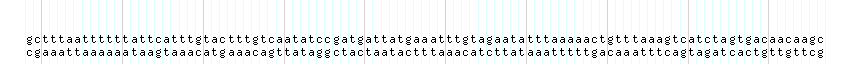 DNA/GC_Content detail