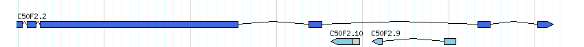 genes detail
