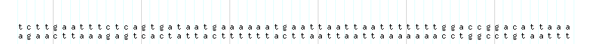 DNA/GC_Content detail