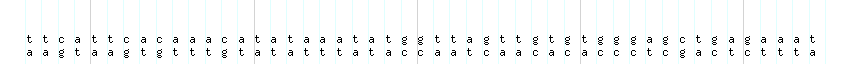 DNA/GC_Content detail