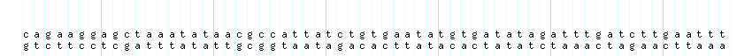 DNA/GC_Content detail
