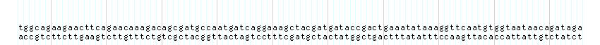 DNA/GC_Content detail