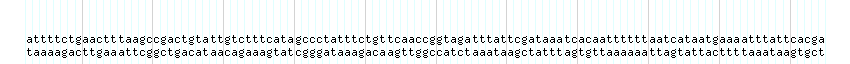 DNA/GC_Content detail