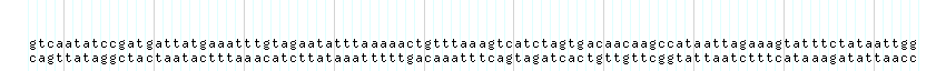 DNA/GC_Content detail
