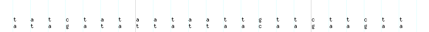 DNA/GC_Content detail