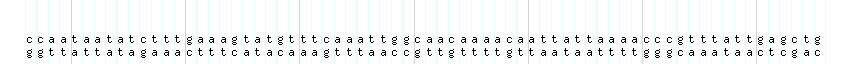 DNA/GC_Content detail