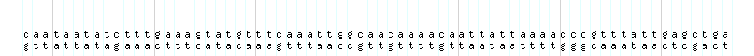 DNA/GC_Content detail