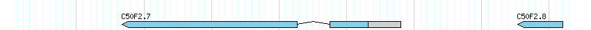 genes detail