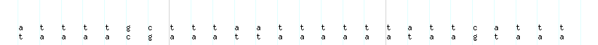 DNA/GC_Content detail