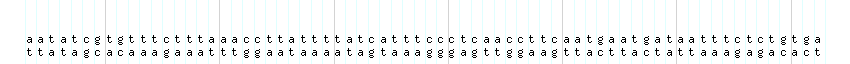 DNA/GC_Content detail