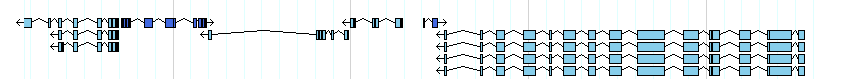 genes detail