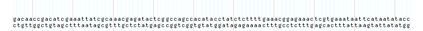 DNA/GC_Content detail