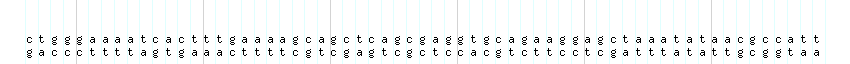 DNA/GC_Content detail