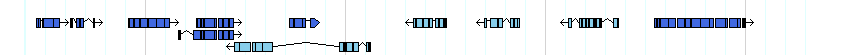 genes detail