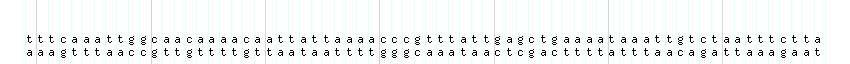DNA/GC_Content detail
