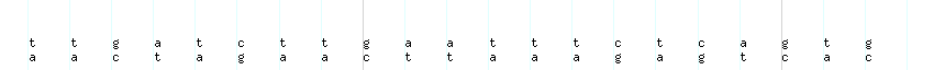 DNA/GC_Content detail
